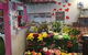 Kingscliff Village Florist - thumb 0