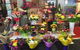 Kingscliff Village Florist - thumb 1