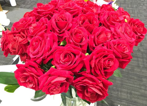 Kingscliff Village Florist - Australian Directory 4