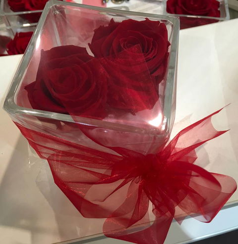 Kingscliff Village Florist - Australian Directory 8