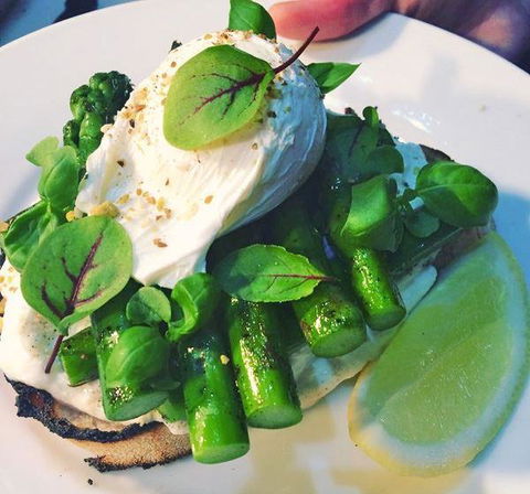 The Cannington - Australian Directory 17