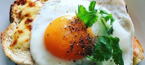 The Cannington - Australian Directory 2