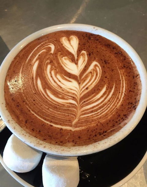 The Cannington - Australian Directory 6