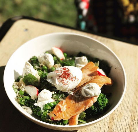 The Cannington - Australian Directory 8