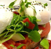 Wild Canary - Australian Directory