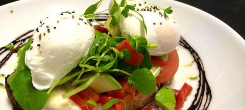 Wild Canary - Australian Directory 0