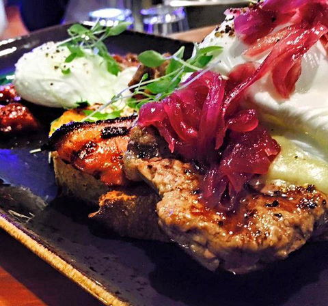 Wild Canary - Australian Directory 10