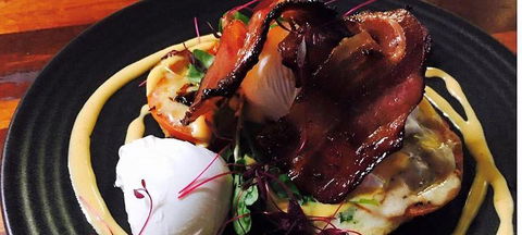 Wild Canary - Australian Directory 3