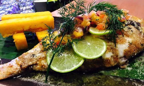 Wild Canary - Australian Directory 5