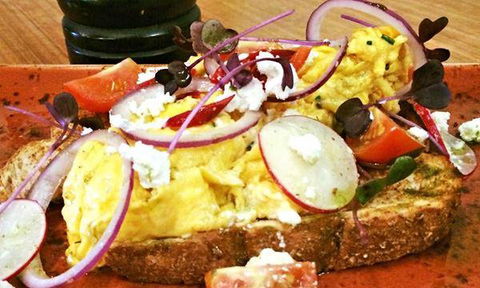 Wild Canary - Australian Directory 8