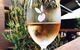 Jannat Authentic Indian Restaurant - thumb 15