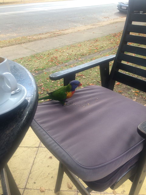 Julie's At The Rectory - Australian Directory 4