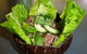 Bistro On The Green - thumb 12