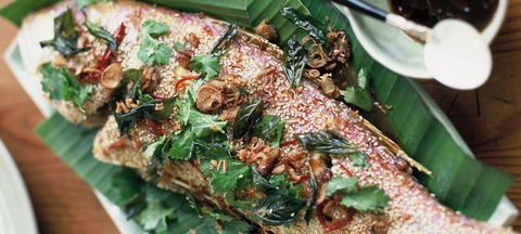 Bistro On The Green - Australian Directory 1