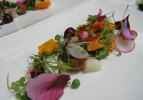 Bluebush Cafe - Australian Directory 13