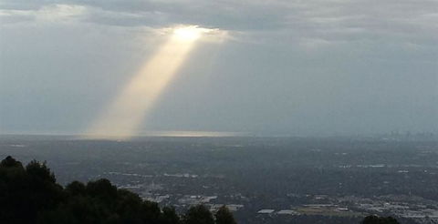 Bluebush Cafe - Australian Directory 26