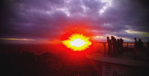 Bluebush Cafe - Australian Directory 28