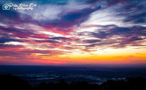 Bluebush Cafe - Australian Directory 29