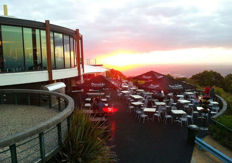 Bluebush Cafe - Australian Directory 5