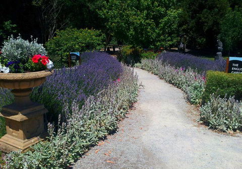 Bluebush Cafe - Australian Directory 6