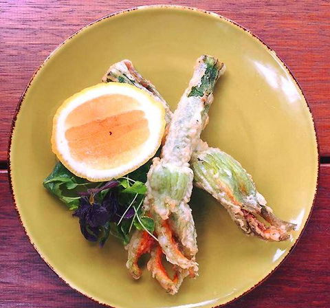 Colourpatch Cafe - Australian Directory 11