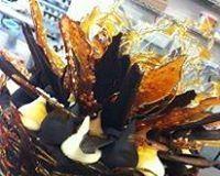 Daily Dose Cafe Wine Bar - Australian Directory 0