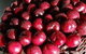 Daily Dose Cafe Wine Bar - thumb 7