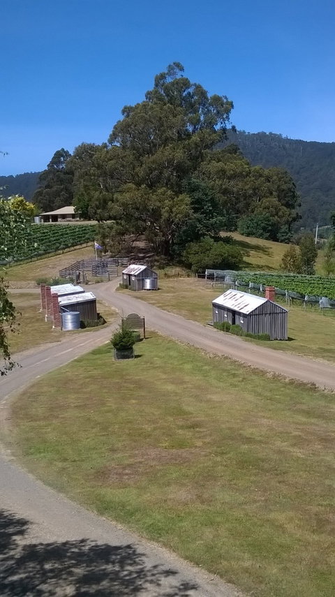 Hartzview Vineyard Cafe - Australian Directory 2
