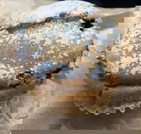 Surfside Patisserie - Australian Directory