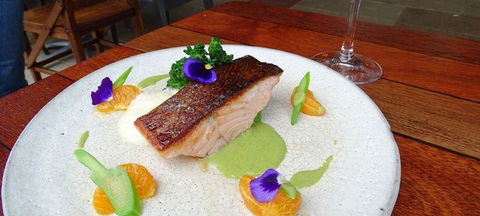 To The Woods - Australian Directory 0