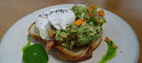 To The Woods - Australian Directory 3