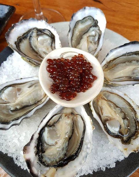 To The Woods - Australian Directory 7