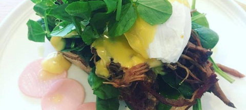 Ajanta - Australian Directory 2