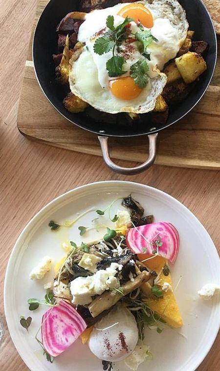 Ajanta - Australian Directory 4