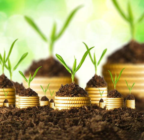 Cutting Edge Accounting - Australian Directory 3