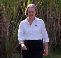 AB Accounting Maclean - Australian Directory