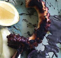 Potager - Australian Directory