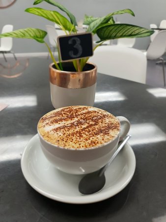 Just Desserts Cafe - Australian Directory 9