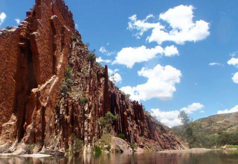 OMaras Hotel - Australian Directory 11