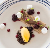 Wild Herring - Australian Directory
