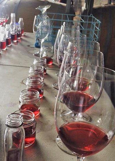 Currency Creek Winery Restaurant - Australian Directory 13