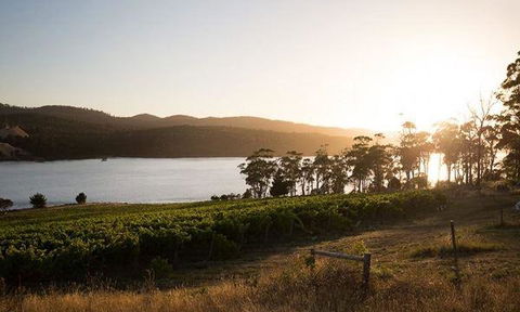 Currency Creek Winery Restaurant - Australian Directory 8