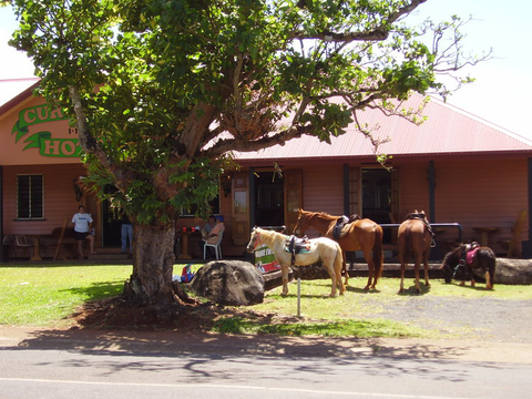 Currajah Hotel - Australian Directory 1