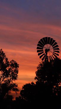 Emerald Springs Roadhouse - Australian Directory 4