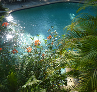 Avoca Beach Hotel - Australian Directory