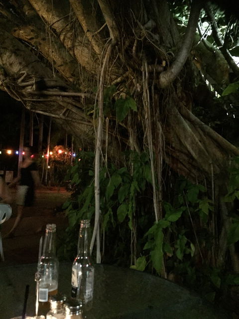 Big Fig Bistro - Australian Directory 6