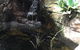 Darwin River Tavern - thumb 7
