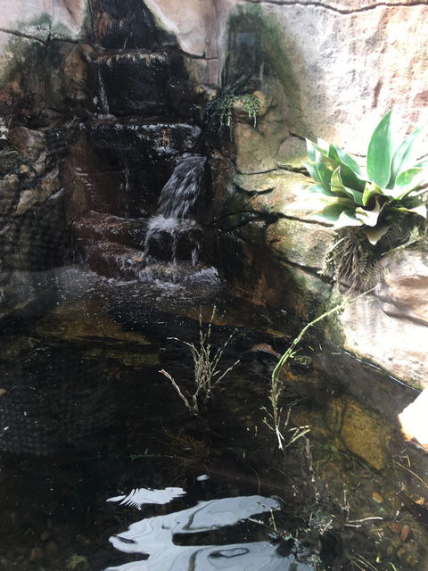 Darwin River Tavern - Australian Directory 7