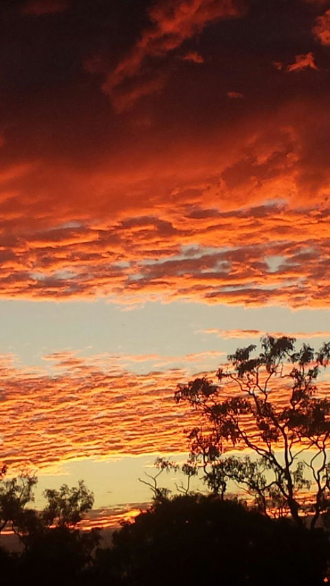 Territory Manor Mataranka - Australian Directory 2