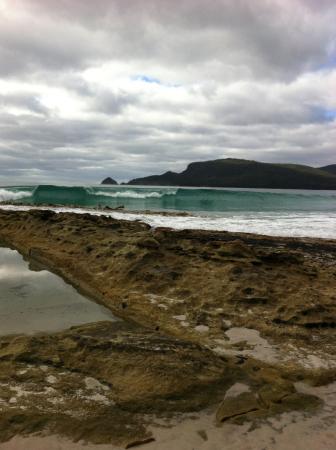 Bruny Island Berry Farm - Australian Directory 0